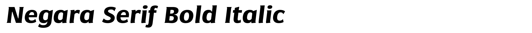 Negara Serif Bold Italic image